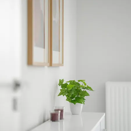 Osiedle Goplana Free Garage By Renters Apartamento