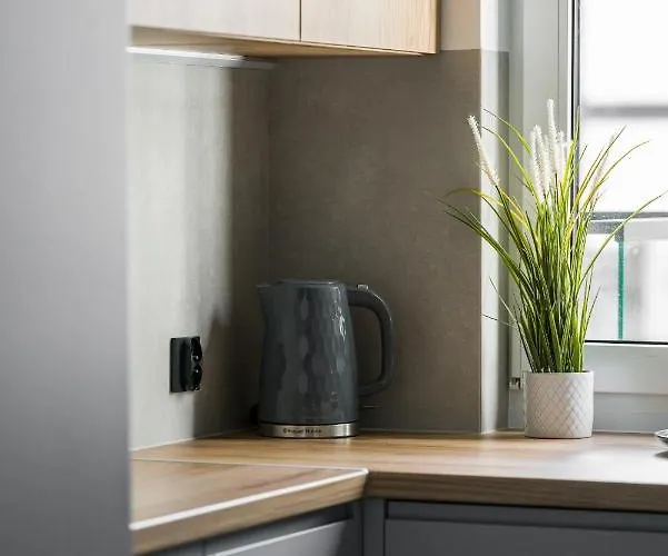 Osiedle Goplana Free Garage By Renters アパート ポズナン